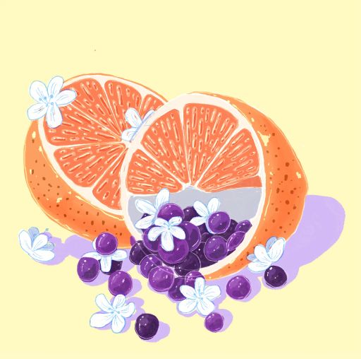 Gesha - Washed - Lot Plano, Finca Lerida