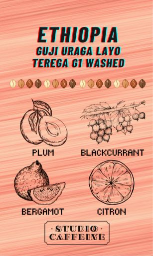 Ethiopia Guji Uraga Layo Terega Gr.1 Washed