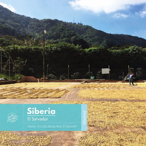 El Salvador Siberia Red Bourbon Washed Espresso