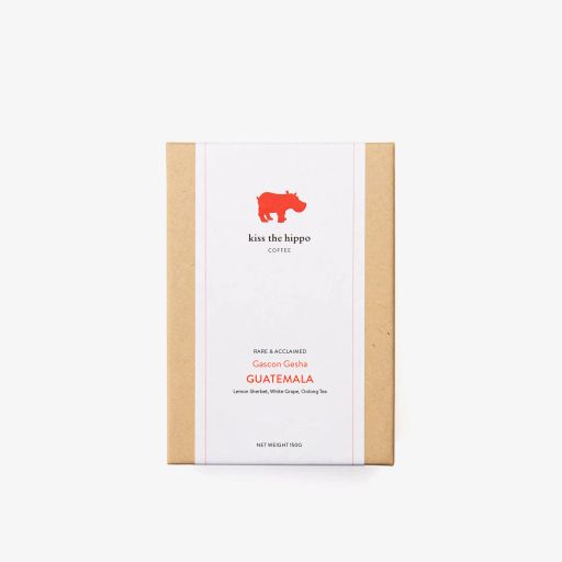 Guatemala, Gascon Gesha