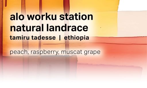 Alo Worku Station - Natural Landrace