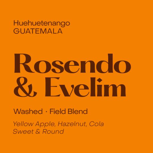 Guatemala Rosendo & Evelim, Washed Field Blend