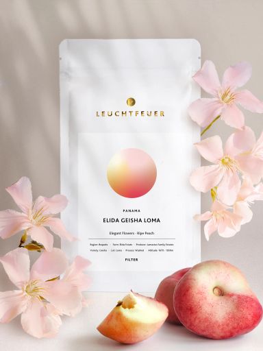 Elida Geisha · Lamstus