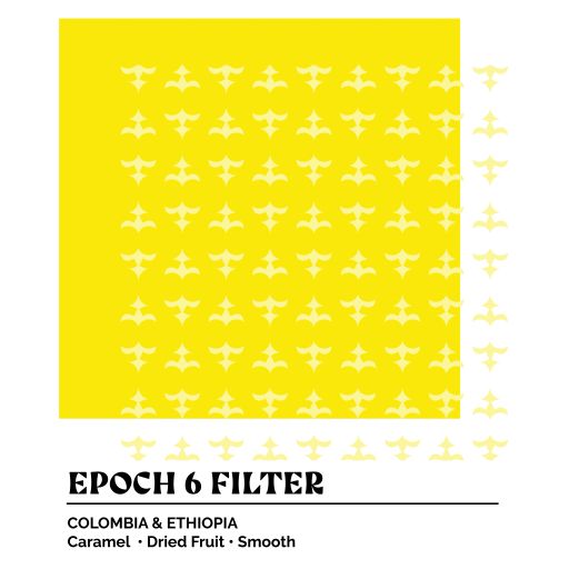 Epoch 6 Filter