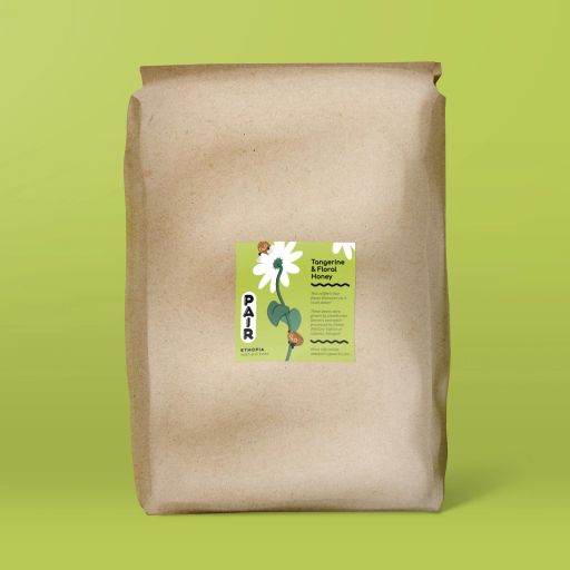 Wash-Processed Coffee Beans from Ethiopia - Sidama - Wholesale