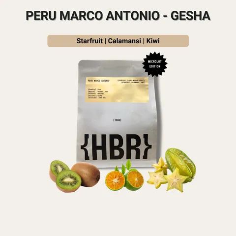 Peru Marco Antonio Gesha (Espresso) | Microlot Edition