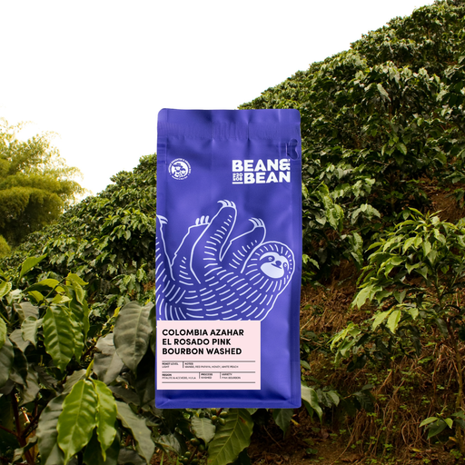 Colombia Azahar El Rosado Washed Pink Bourbon