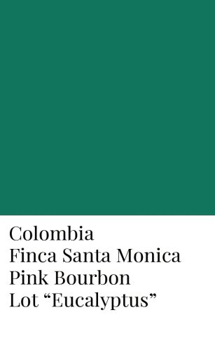 Lot "Eucalyptus" - Colombia Finca Santa Monica Pink Bourbon Honey