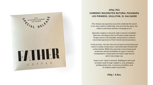 Opal Carbonic Macerated Natural Pacamara, Los Pirineos, El Salvador