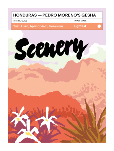 Honduras - Pedro Moreno's Gesha