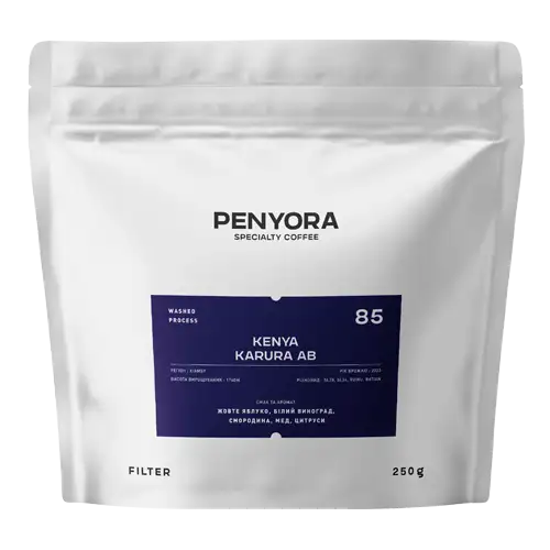 Kenya Karura AB Filter