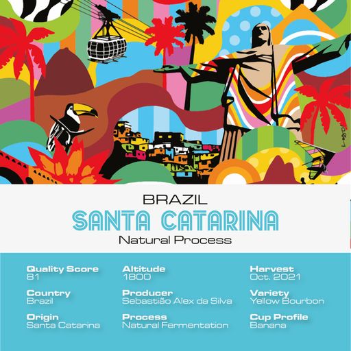 Brazil Santa Carina & Ethiopia Organic Guji