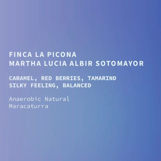 Nicaragua CoE #15 La Picona Natural Maracaturra