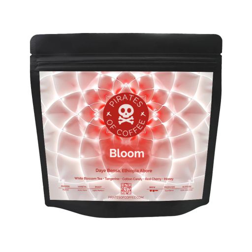 BLOOM: Daye Bensa Ethiopia Abore Washed
