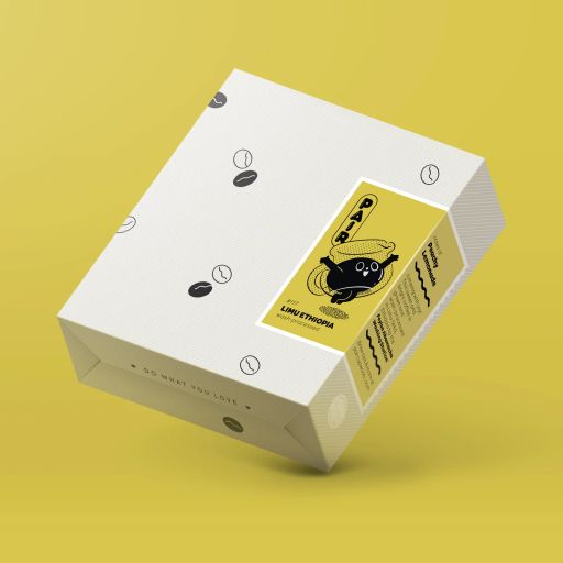 Washed-Processed Coffee Beans from Ethiopia