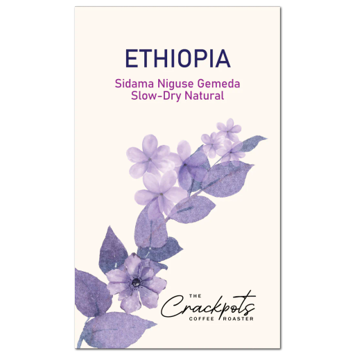 Ethiopia Sidama Niguse Gemeda Slow Dry Natural