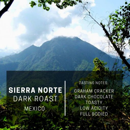 Mexico Sierra Norte: A Dark Roast