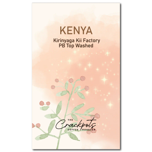 Kenya Kirinyaga Kii Factory PB Top Washed