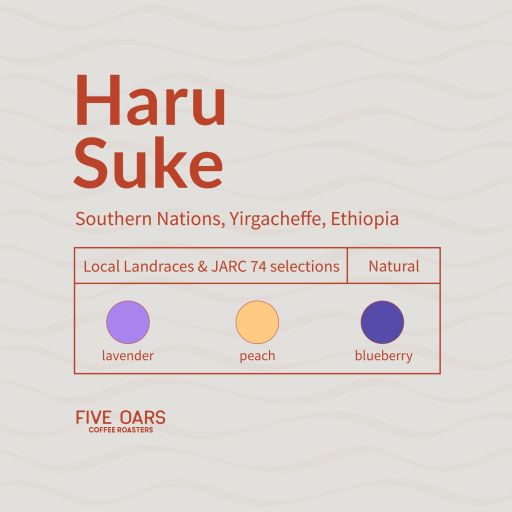 Haru Suke