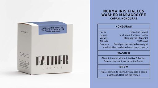 Norma Iris Fiallos Washed Maragogype, Copán, Honduras