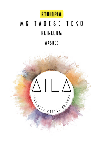 ETHIOPIA / MR. TADESE TEKO