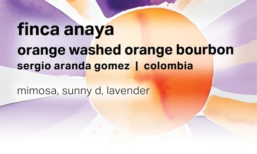 Sergio Aranda Gomez Finca Anaya - Orange Washed Orange Bourbon