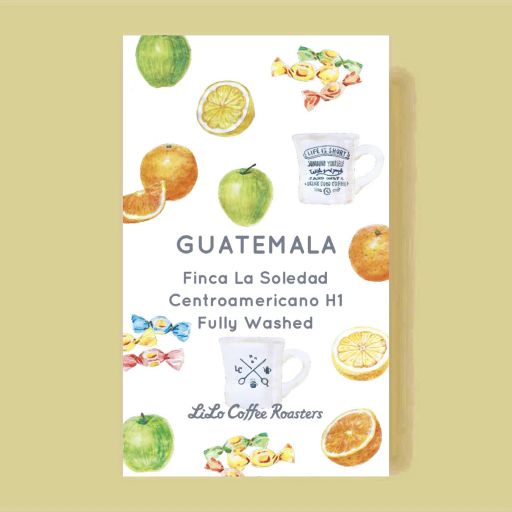 Guatemala Finca La Soledad Centroamericano H1 Fully Washed