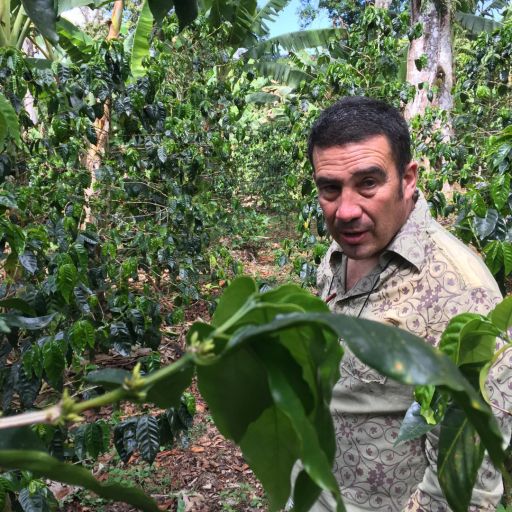 Panama - Finca Hartmann - Dark Room Washed Eloy