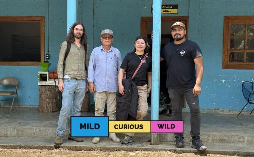 MEXICO | Santa Cruz | Bourbon & Typica | Washed