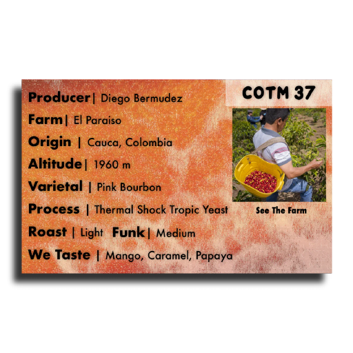 COTM 37 Diego Bermudez Thermal Shock Tropical Yeast Pink Bourbon