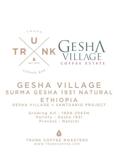 Ethiopia - Gesha Village x Santuario Project | Surma Gesha 1931 Natural [Competition]