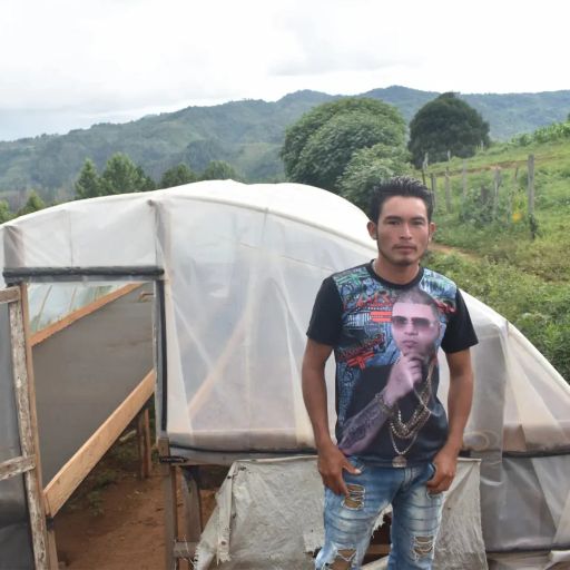 Honduras - Finca El Pino TP 1 Typica by Walter Samuel Ramirez