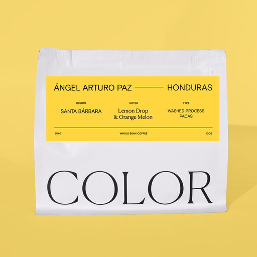 Honduras Angel Arturo Paz - Washed Pacas