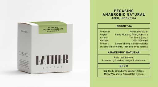 Pegasing Anaerobic Natural, Aceh, Indonesia