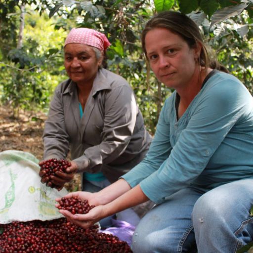 Guatemala - Santa Felisa Geisha 2722 Natural