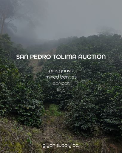 San Pedro Tolima Auction