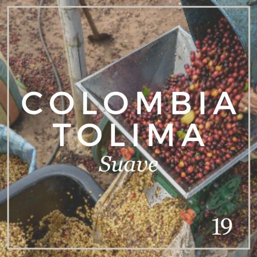 Colombia Tolima Suave