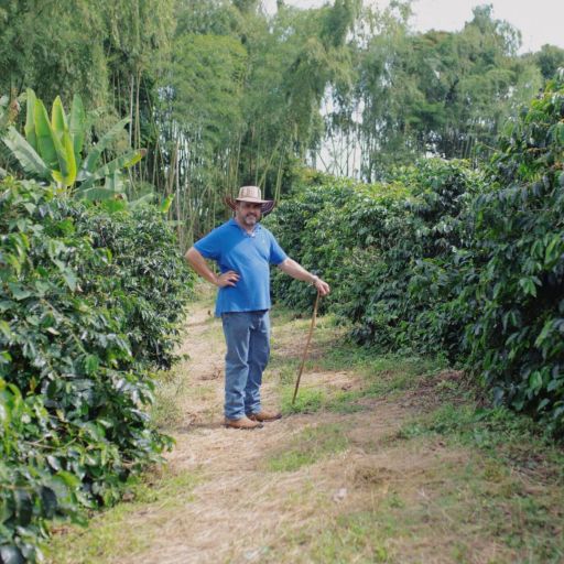 Colombia - Finca Milan - Sudan Rume Nitro