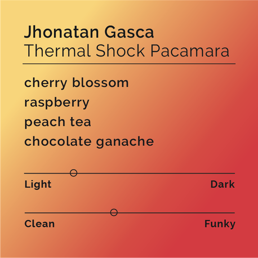 Jhonatan Gasca Thermal Shock Pacamara