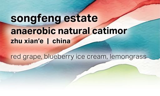 Zhu Xian'e Songfeng Estate - Anaerobic Natural Catimor