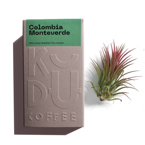 Colombia Monteverde