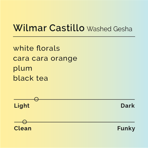 Wilmar Castillo Washed Gesha