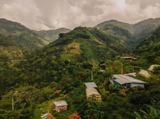 Colombia - Gaitania - Anaerobic Natural