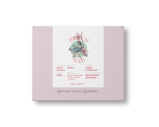 Bench Maji. Cafe de Etiopia