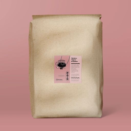 #112 Lactic-Fermentation Anaerobic Coffee Beans from Costa Rica