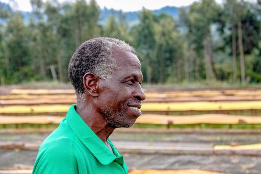 Kenya Mutheka & Othaya Washed Swiss Water Decaf