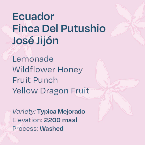Ecuador Finca Del Putushio Typica Mejorado