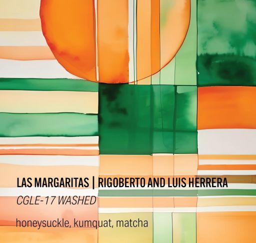 Las Margaritas - CGLE-17 Washed