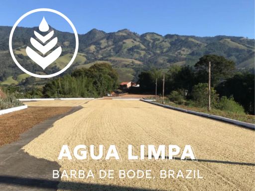 AGUA LIMPA