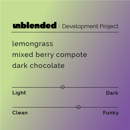 Unblended: Development Project